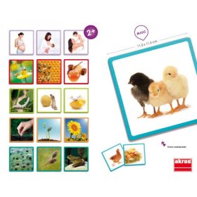   A fejlődés szakaszai a természetben - Sorozatalkotás 24 hó+