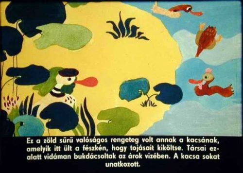 Diafilm - A rút kiskacsa