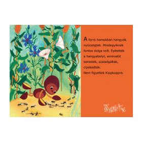 Diafilm: Kippkopp a fűben