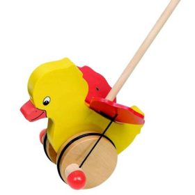 Tologatós kacsa 12 hó+