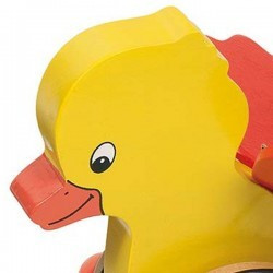 Tologatós kacsa 12 hó+