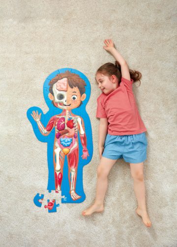 Hape Emberi Test puzzle