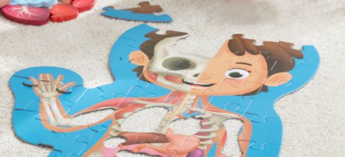 Hape Emberi Test puzzle