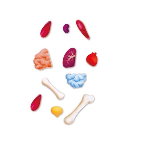 Hape Emberi Test puzzle