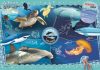 104 db-os SuperColor puzzle   - National Geographic Kids