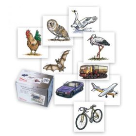 Keresd a kakukktojást!