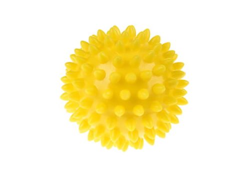 Tüskelabda 6,6 cm
